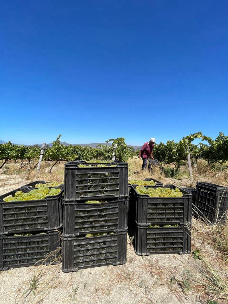 PAARL,WELLINGTON,accommodation, boutique, SELF CATERING, WINE-AFFORDABLE