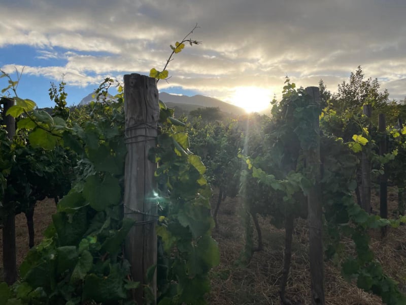 PAARL,WELLINGTON,accommodation, boutique, SELF CATERING, WINE-AFFORDABLE